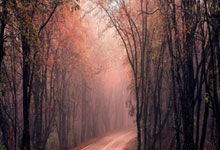 开云体育下载-阿尔希拉尔战术多变，力争战胜强敌