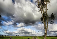 开云体育下载-阿尔希拉尔战术多变，力争战胜强敌