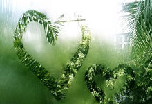 开云体育登录-浴火重燃！中国篮坛巨星XXX的征途