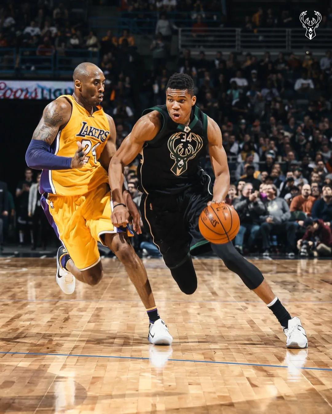 开云平台-包含雄鹿主场获胜，字母哥全方位发挥成为球队得分王的词条