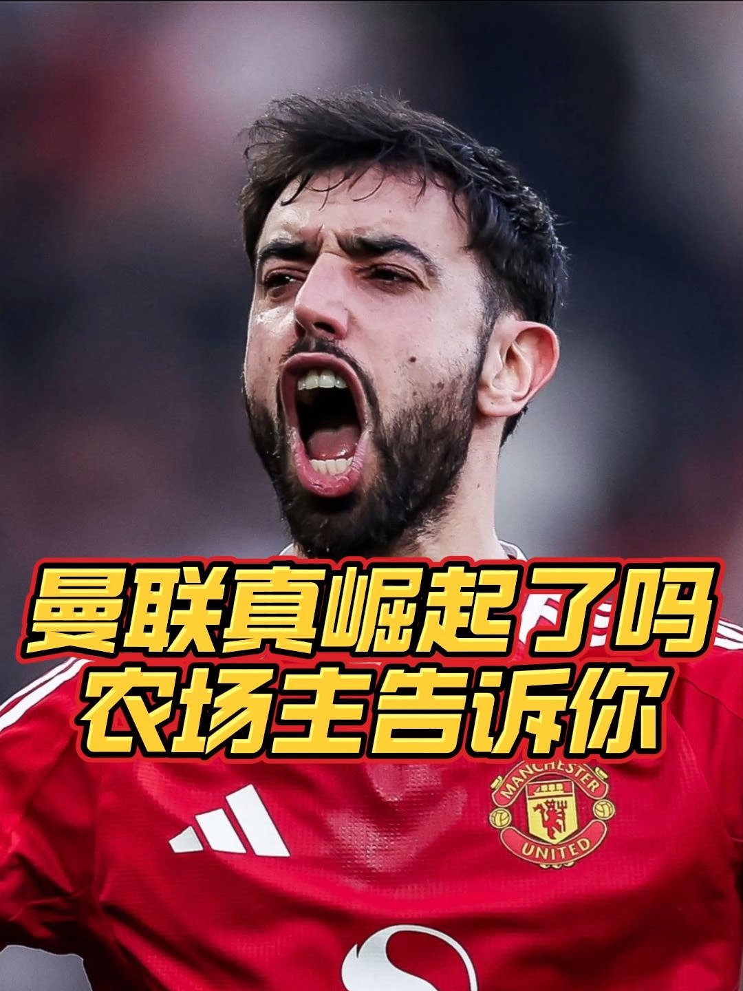 开云体育下载-富勒姆客场取胜,力保保级希望的简单介绍