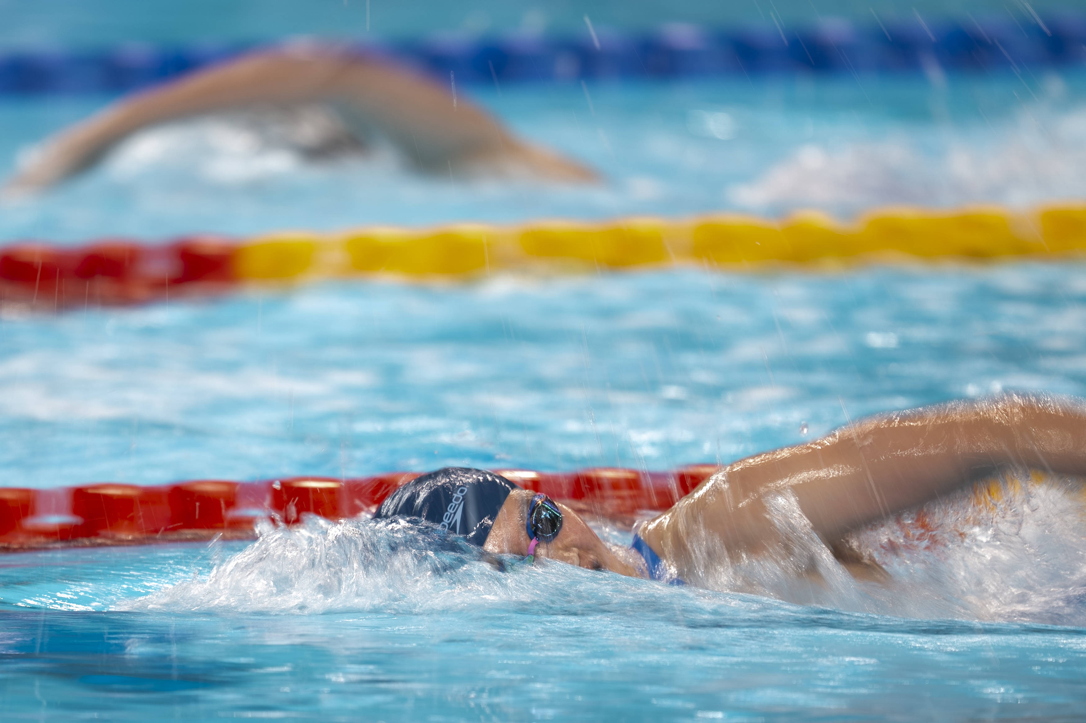 开云体育在线-场面火爆！游泳观众席沸腾不已的简单介绍