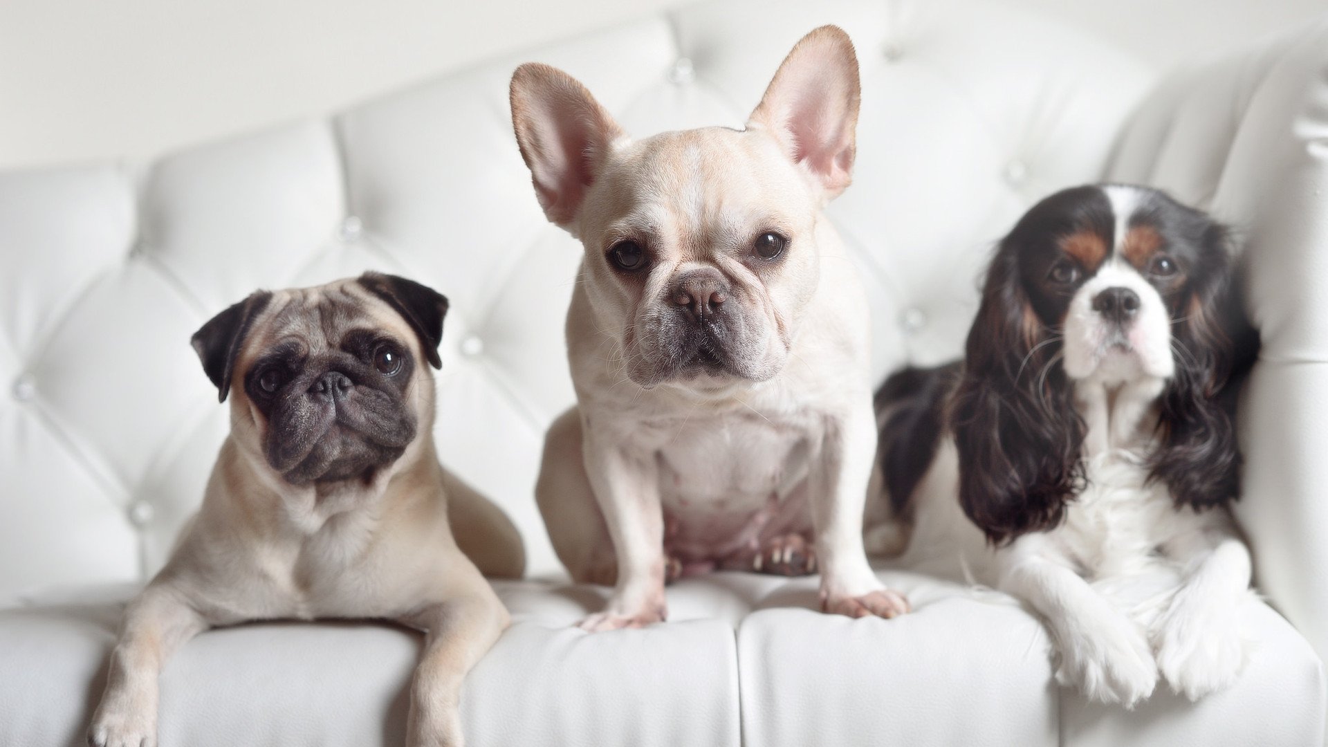 开云官网-破碎与重构，当南美狂想曲遭遇拜仁利刃，足球正写下新的生长宣言