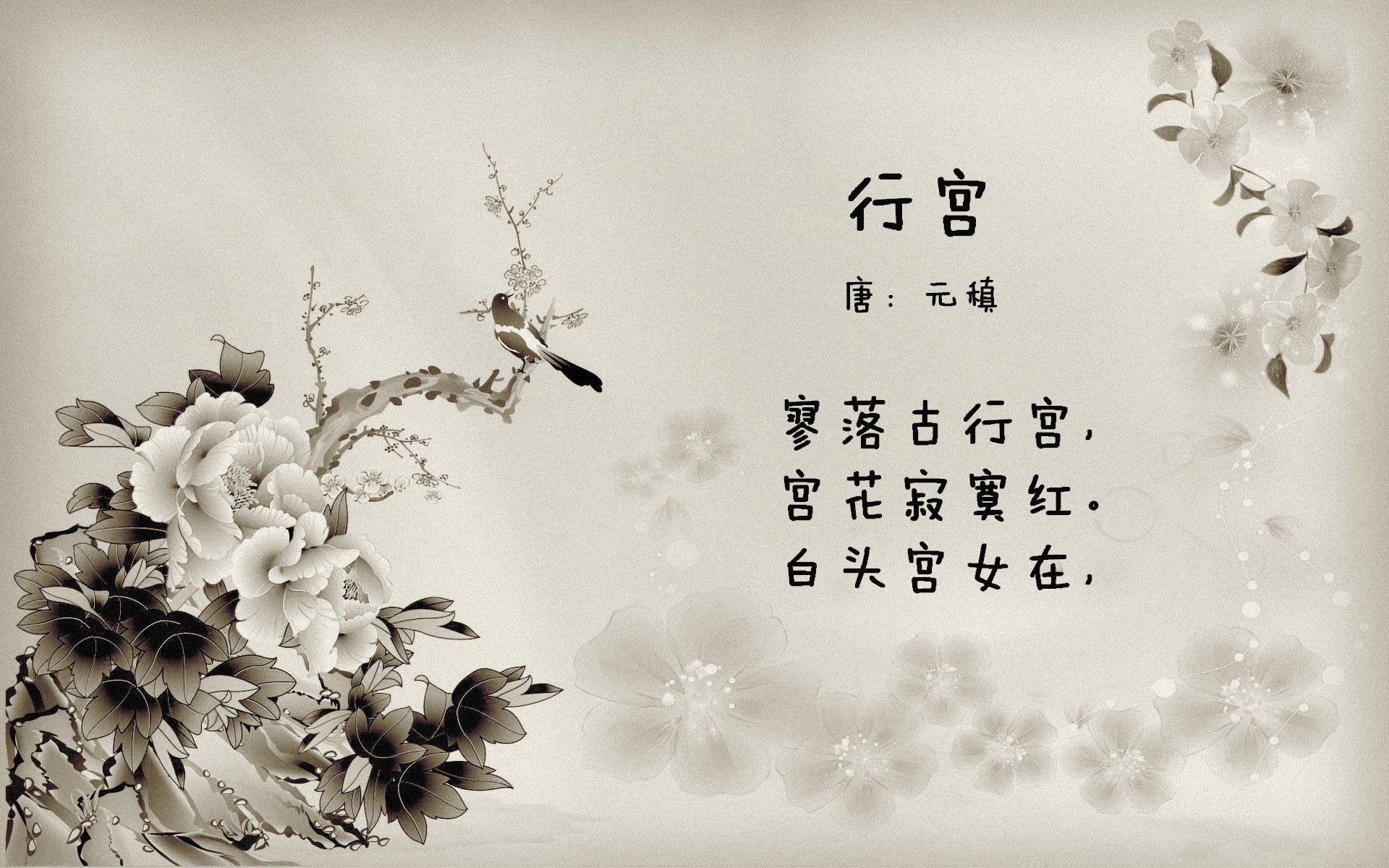 库里状态火热引领广东队制霸开拓者,跨联盟篮球的辉煌对决