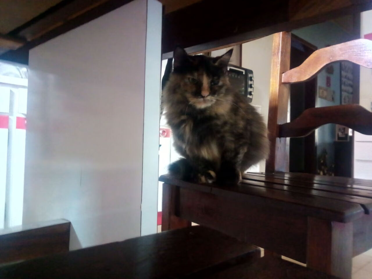 绝境突围！利物浦加时鏖战3-2险胜加纳，挺进决赛