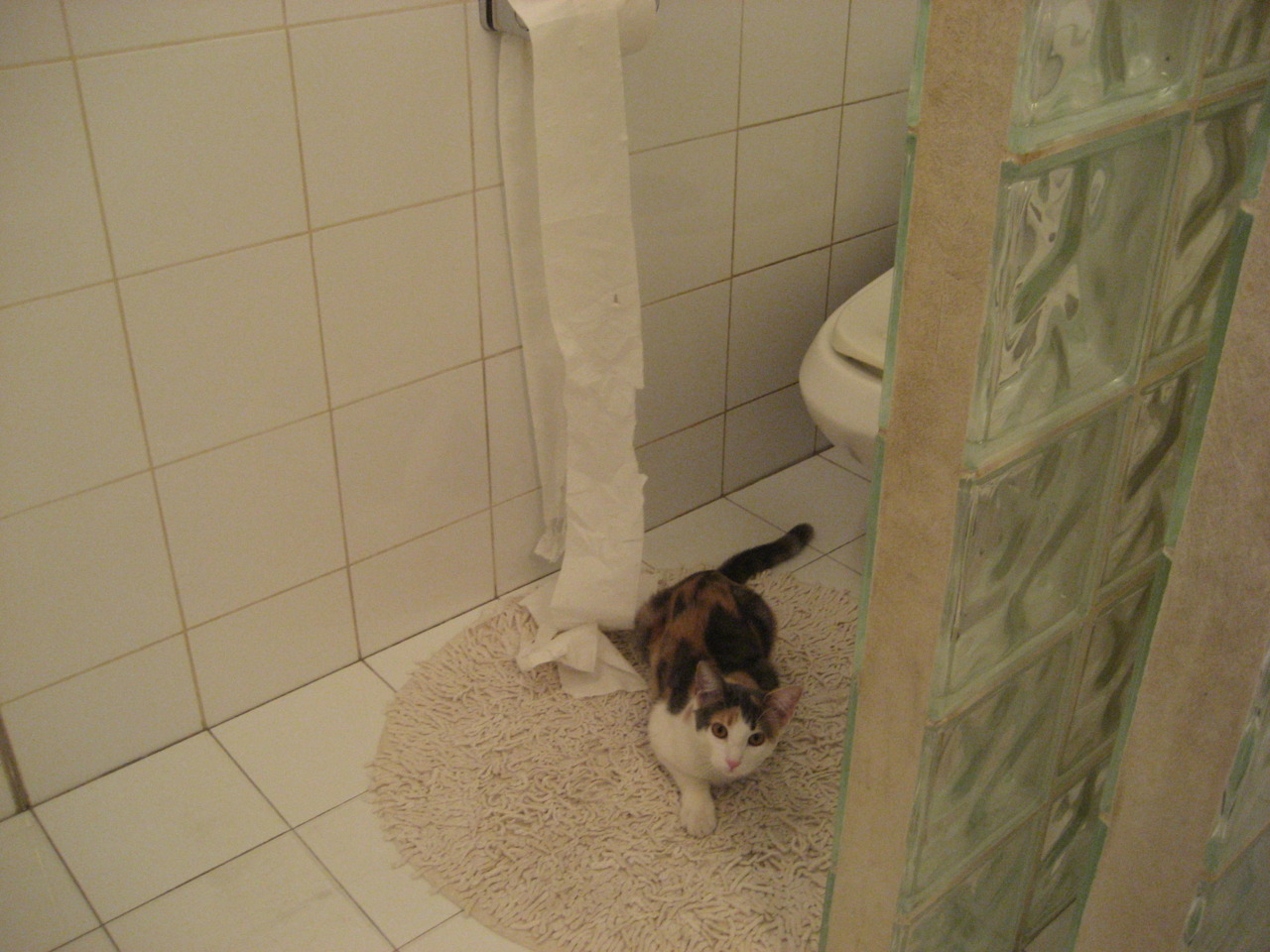 南半球旋风席卷欧洲，新西兰4-1碾压马德里竞技，迪亚斯闪耀全场