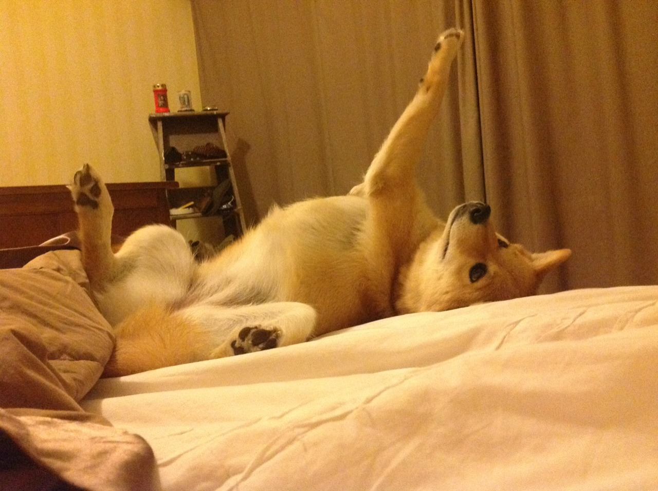 开云官网-节奏大师，穆勒如何以隐形指挥，驱动皇马力克智利式铁血防线？