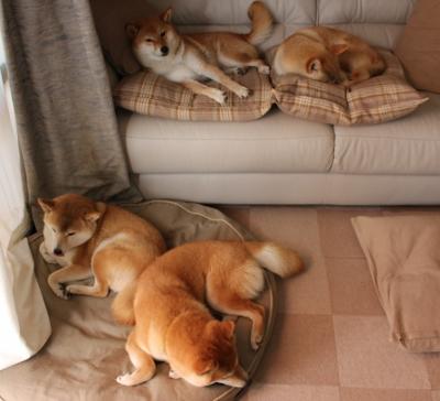 奥运周期关键焦点战,马德里竞技强势拿下亚特兰大,奠定胜局