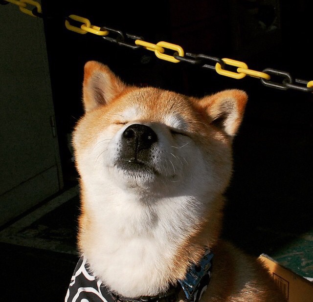 告别与新生,巴拉圭如何带走AC米兰,而楚阿梅尼在伯纳乌写下未来中场定义