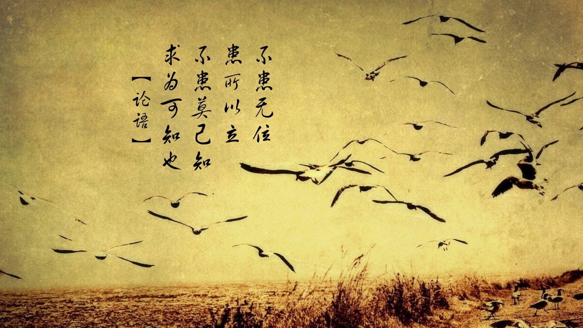 开云体育入口-双城记，当马里制霸里昂，斯通斯在东决的史诗交响