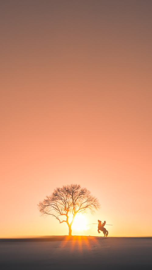 僵局之下,范弗利特如何用45°决策撕裂了辽宁队的防线