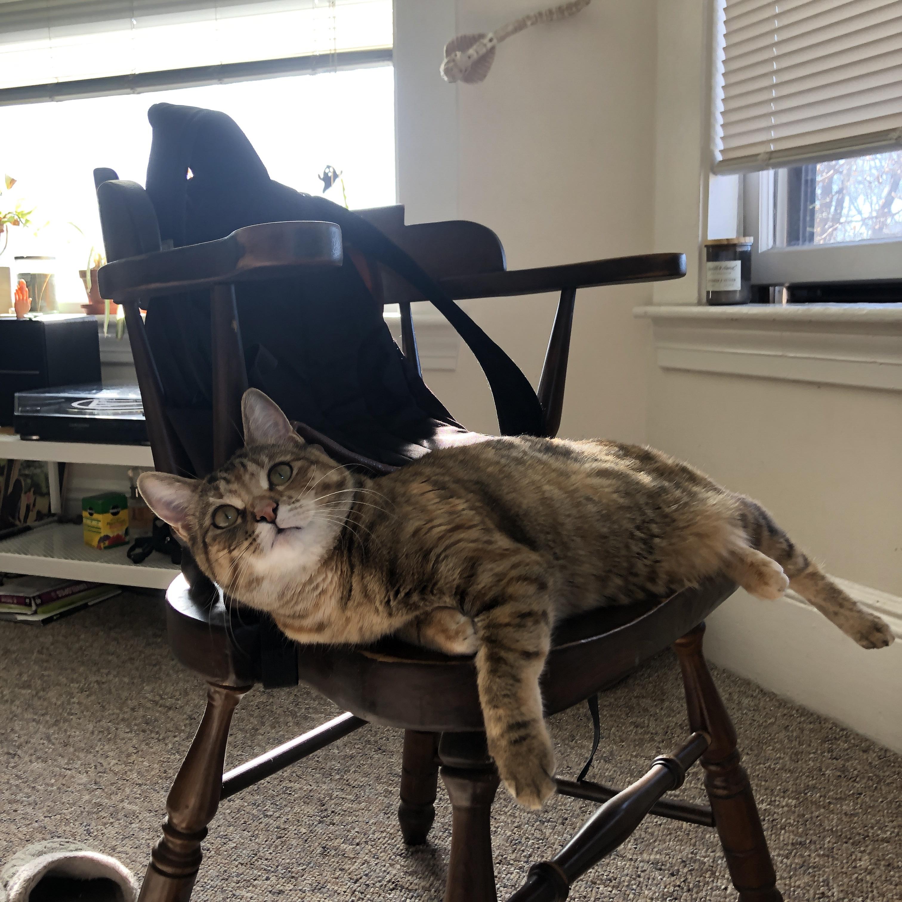 开云体育-逆境英雄诞生记，布伦森如何在对阵老鹰的关键战中托起骑士的希望