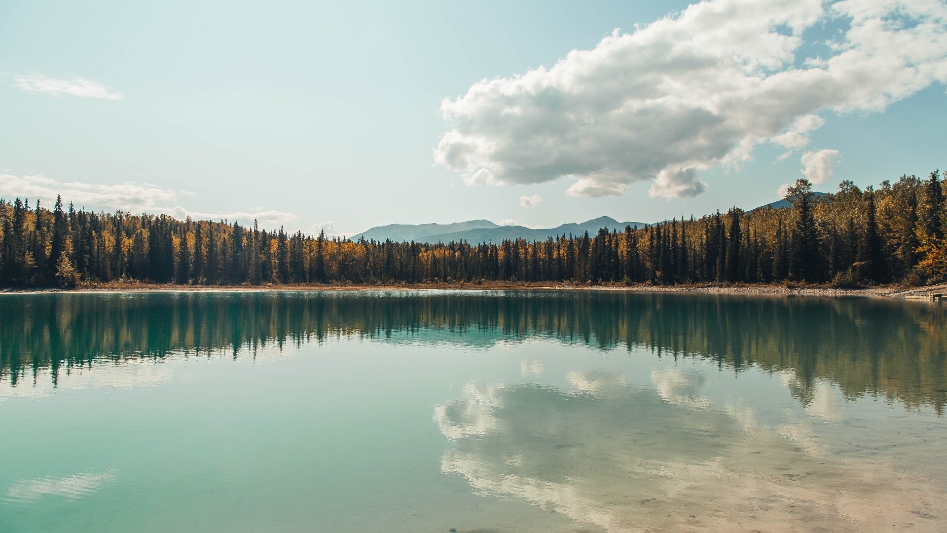 篮网稳胜尼克斯，恩比德全场最佳无争议—NBA之夜的双重奏