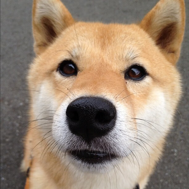 开云官网-从边路到中路，从配角到英雄，孔德如何用一脚传球改写欧洲杯历史