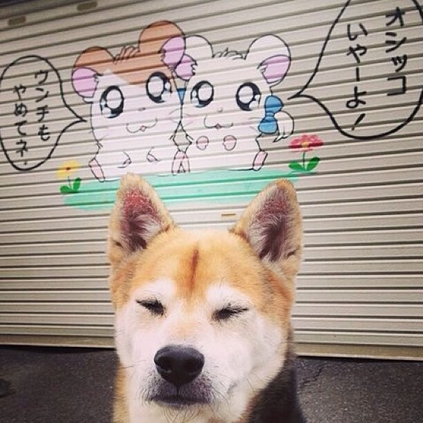 开云体育app-约基奇完美发挥引领尼克斯险胜广东队，一场跨界篮球盛宴的纪实