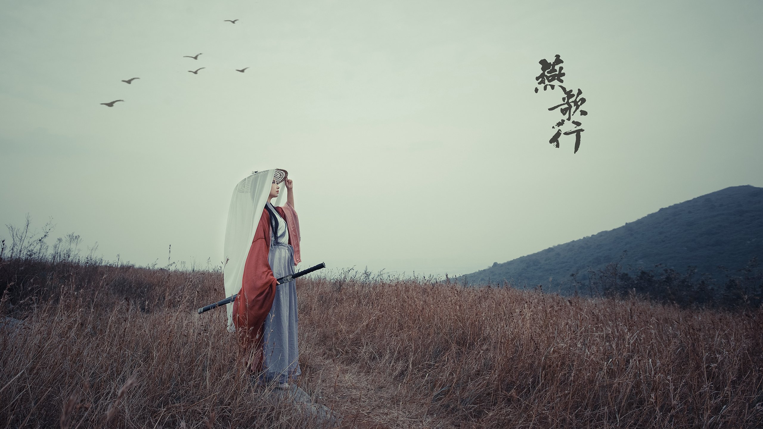 米切尔里程碑之夜，飓风般的得分狂潮席卷孟菲斯