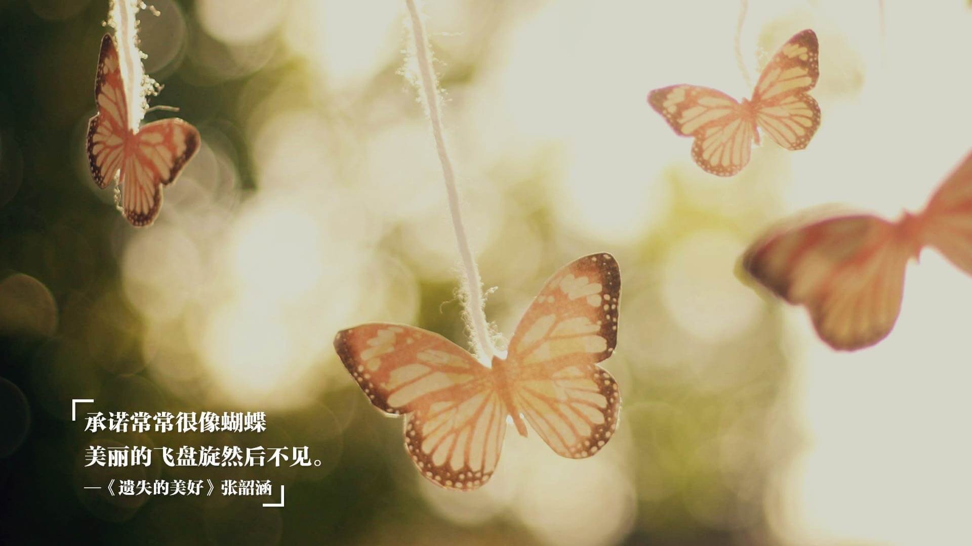 跨界风暴，阿尔及利亚足球终结安哥拉，德里赫特在NBA季后赛的传奇接管