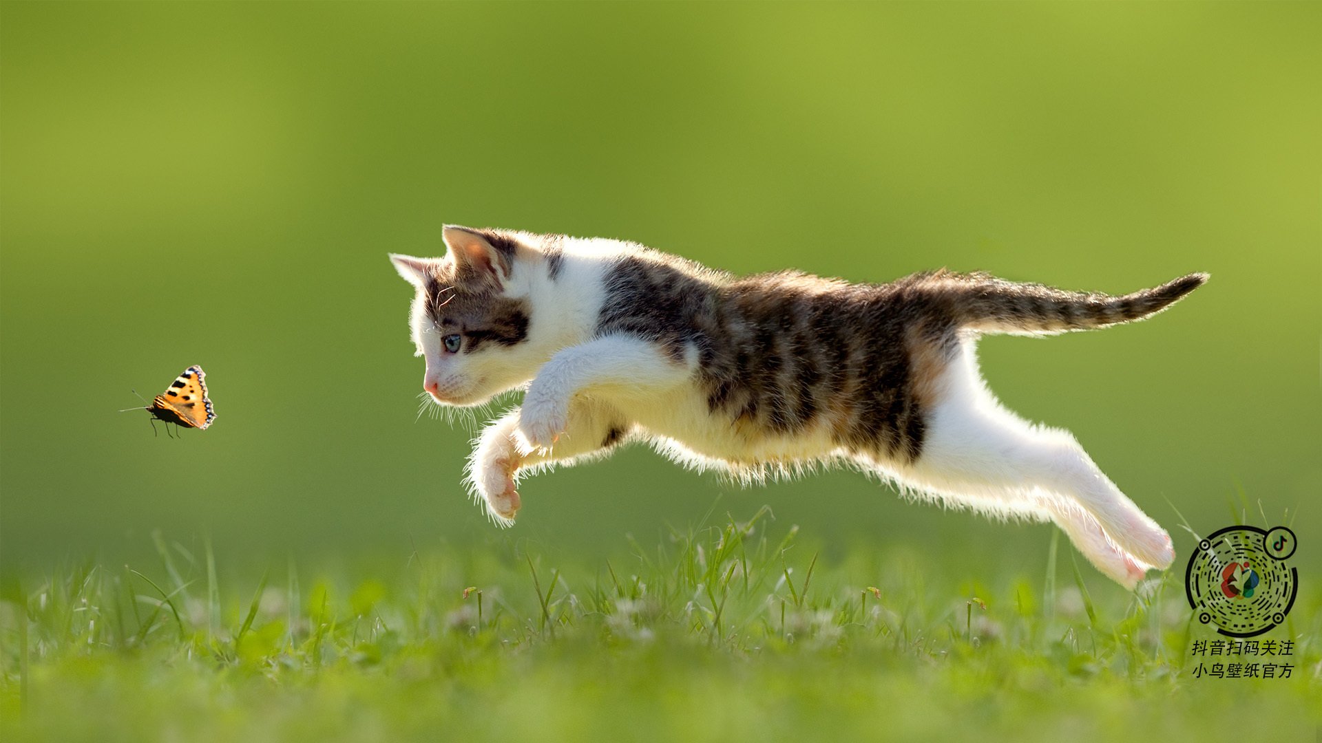 极速与点球，赛道与绿茵场上的决胜时刻