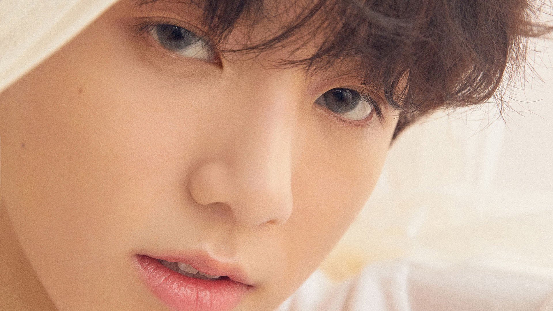 速度与策略,F1街道赛焦点战与那不勒斯速胜多特蒙德的启示